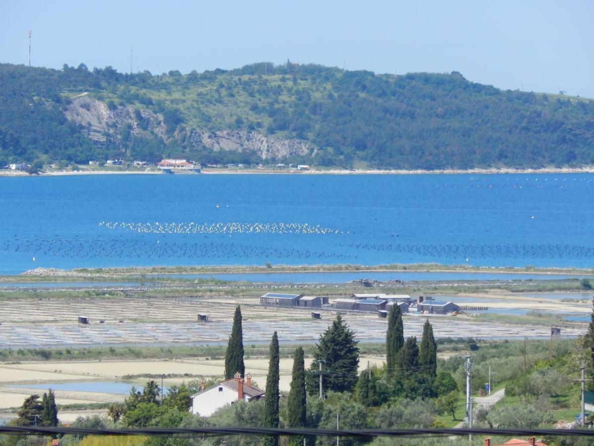 Apartment Sunset View Portorož Dış mekan fotoğraf